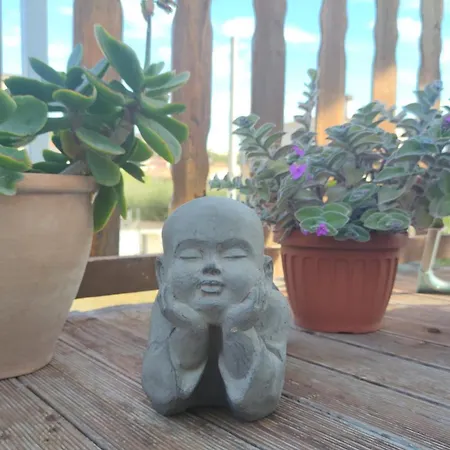 Casa Su Rimediu Prázdninový dům *