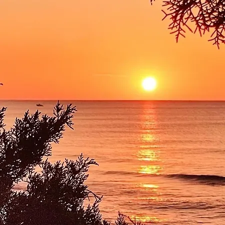 Дом отдыха Casa Su Rimediu Орозеи