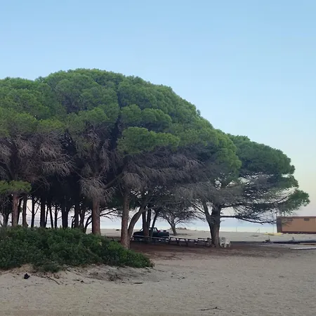 Casa Su Rimediu Tatil Evi
